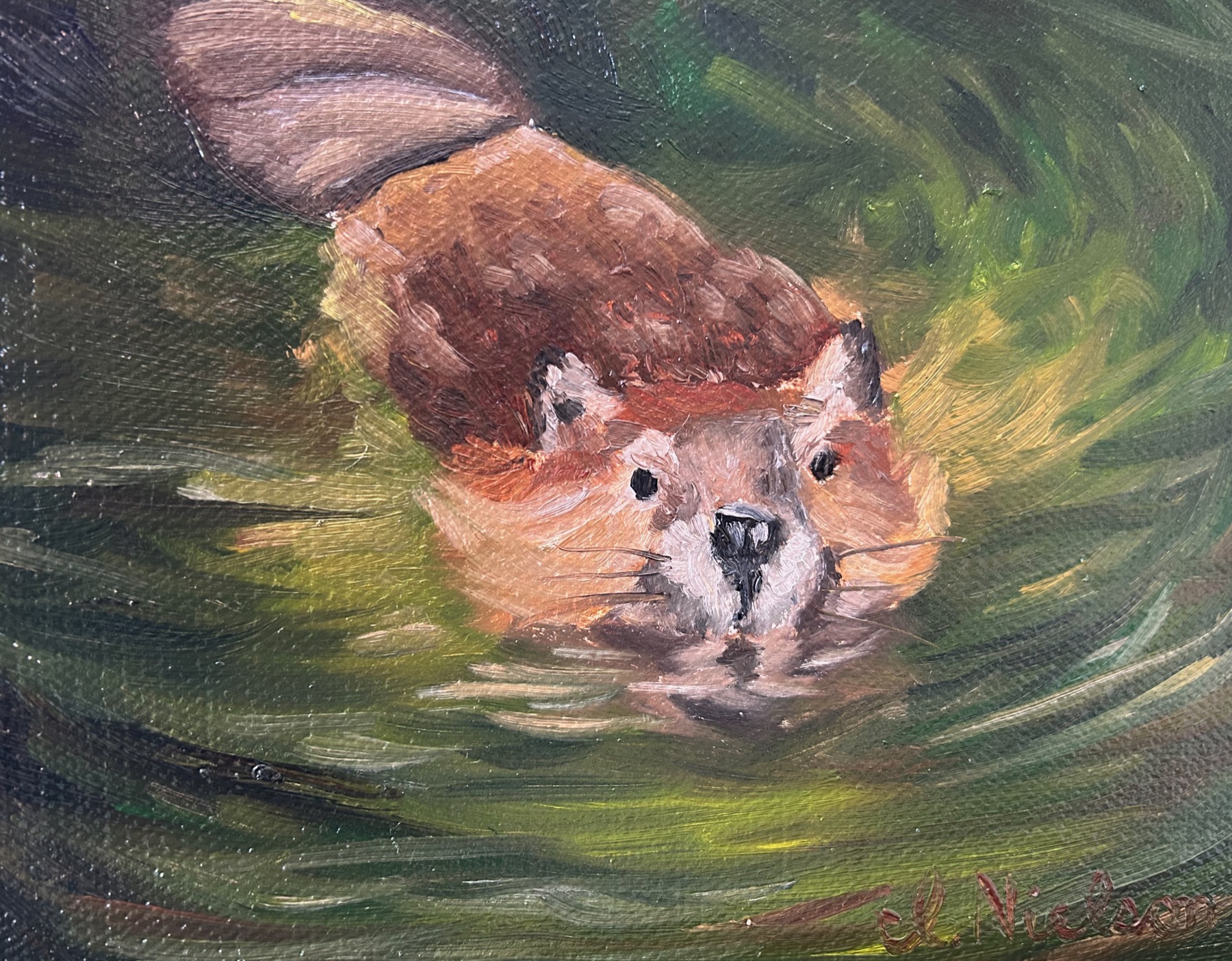Beaver