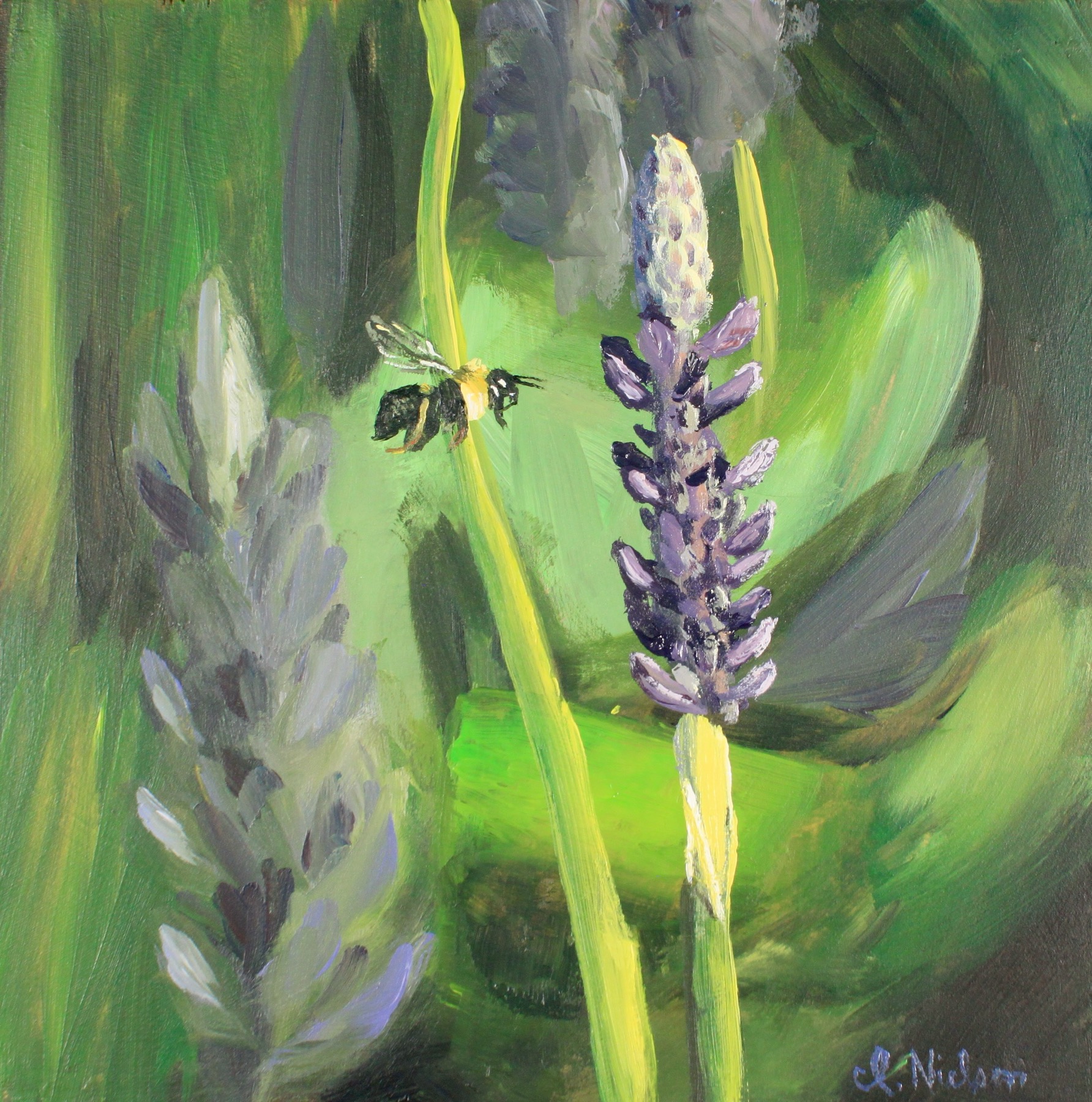 Bee in the Lupines