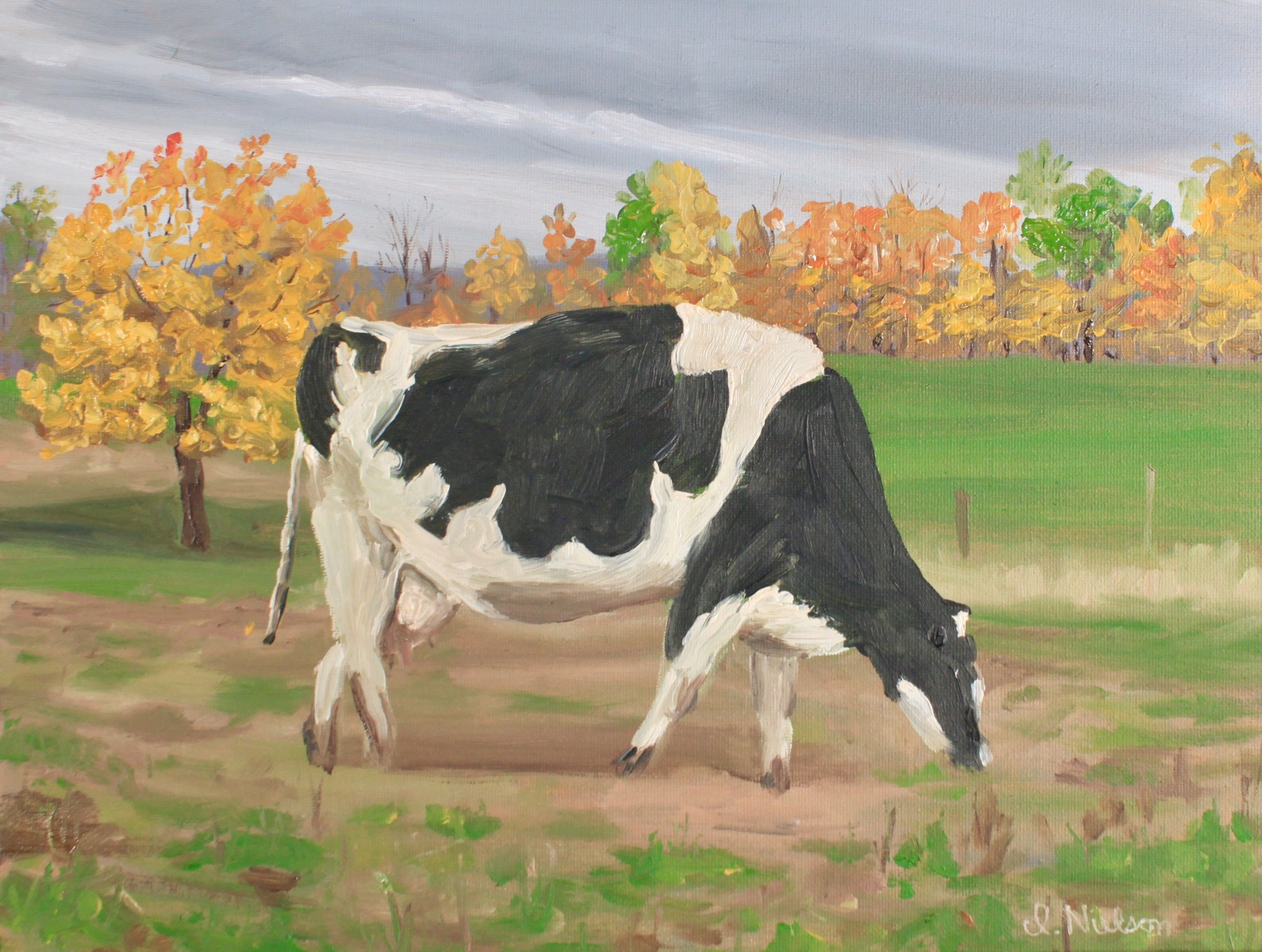 Berkshires Pasture in Autumn