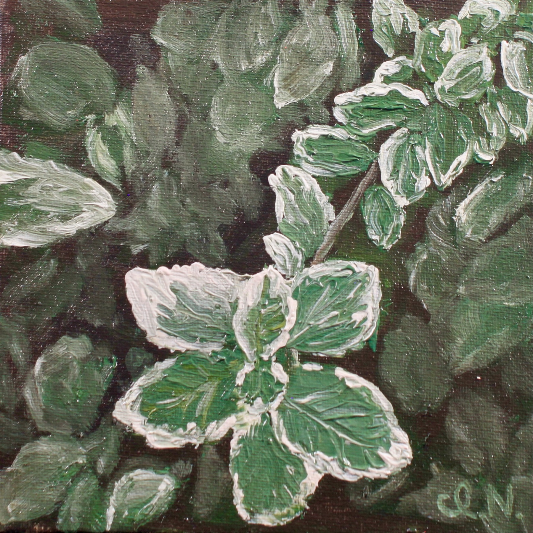 Close-up on Bush