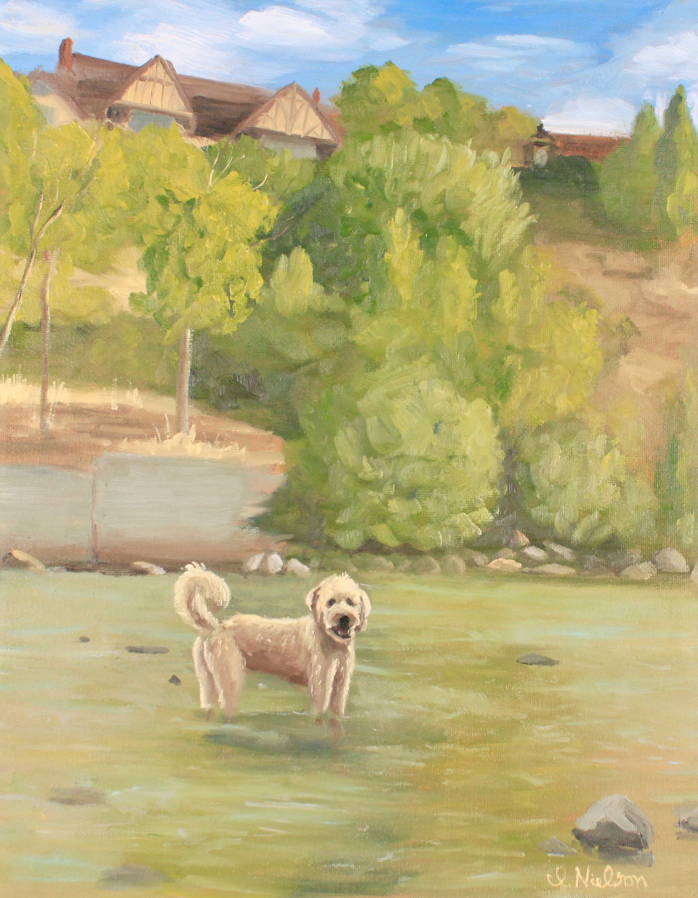 Cody in the Truckee