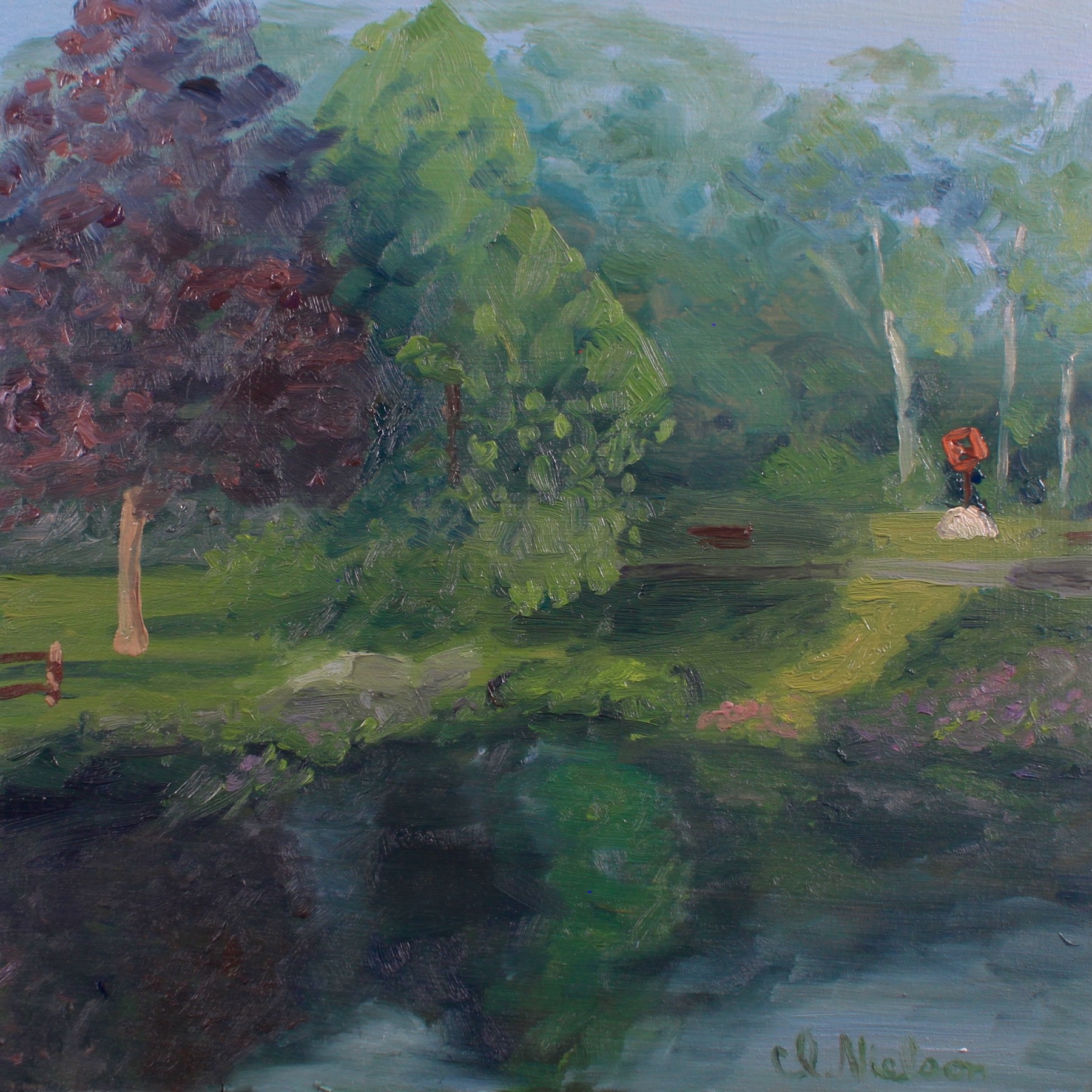 Fields Grove Morning Light