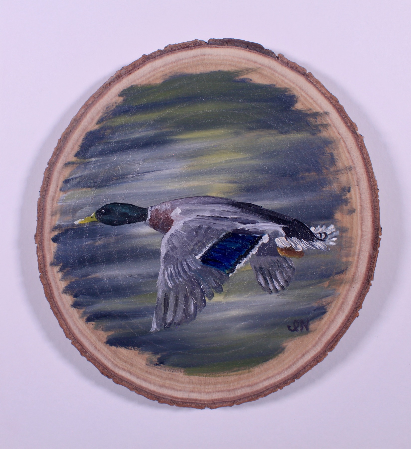 Flying Mallard