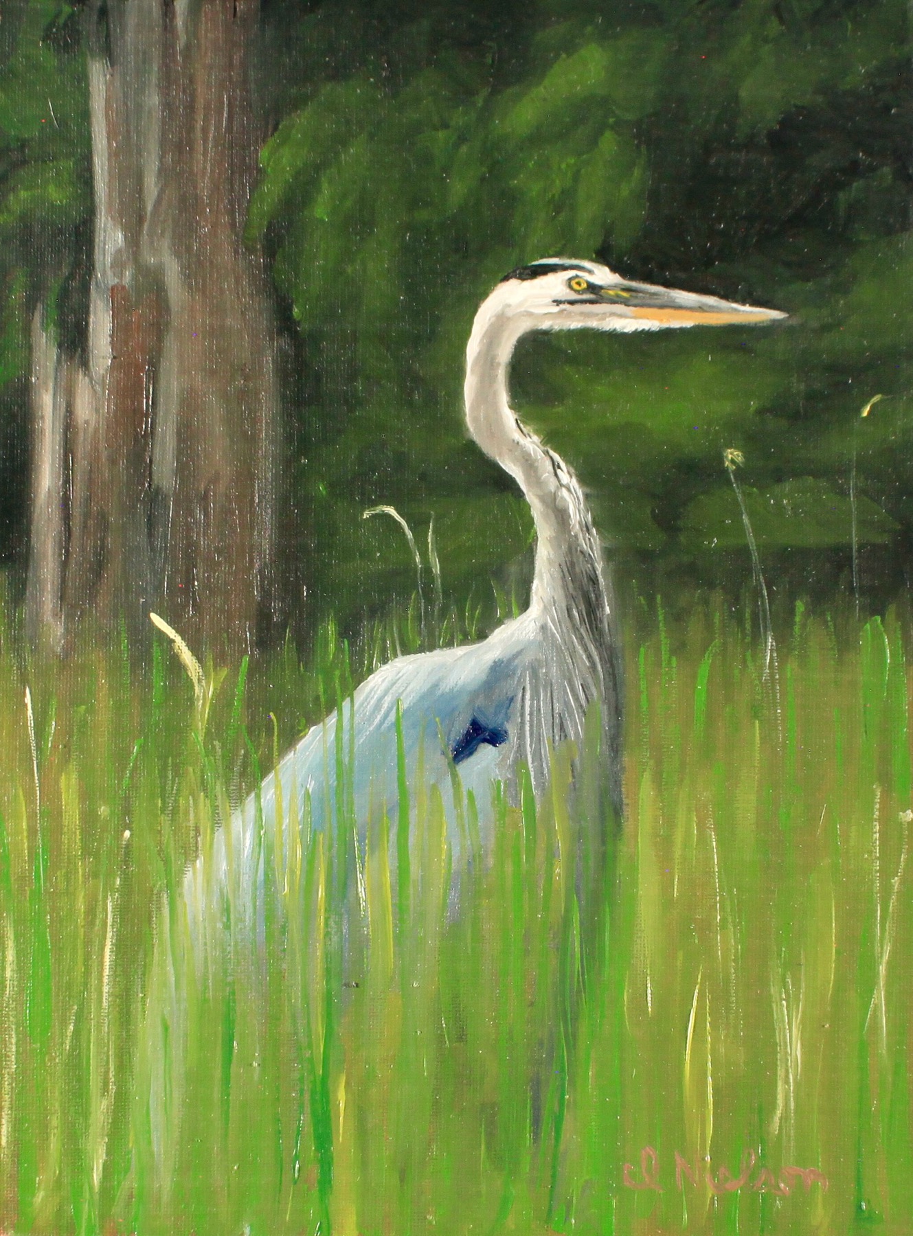 Great Blue Heron