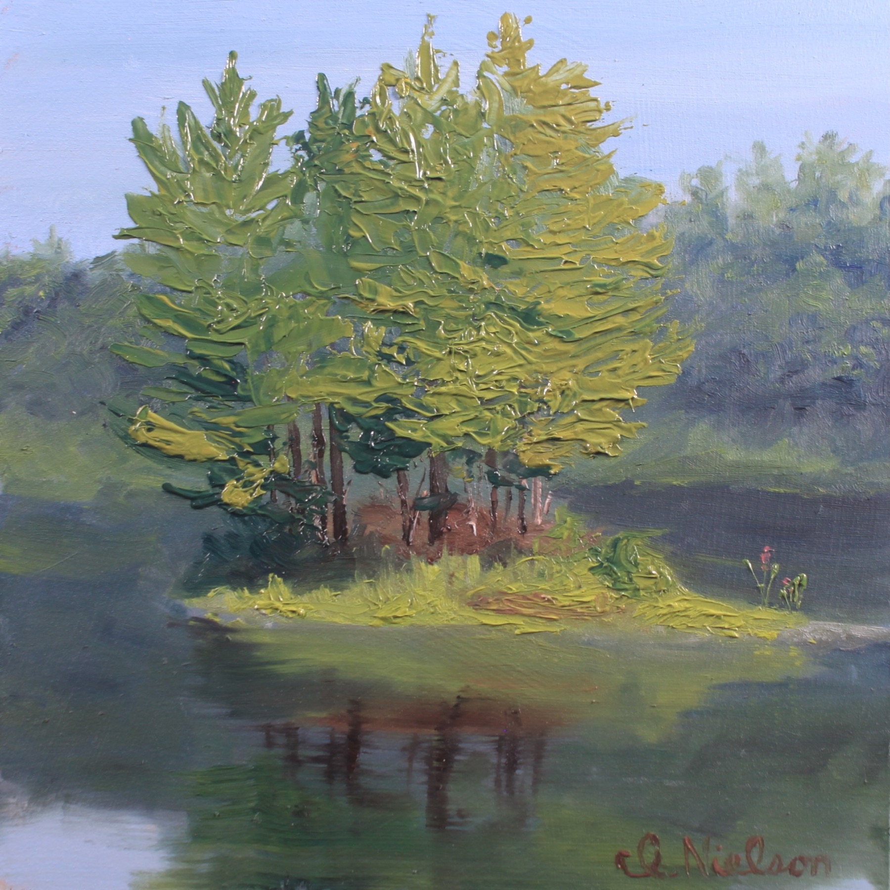 Island at Dunstable Land Trust