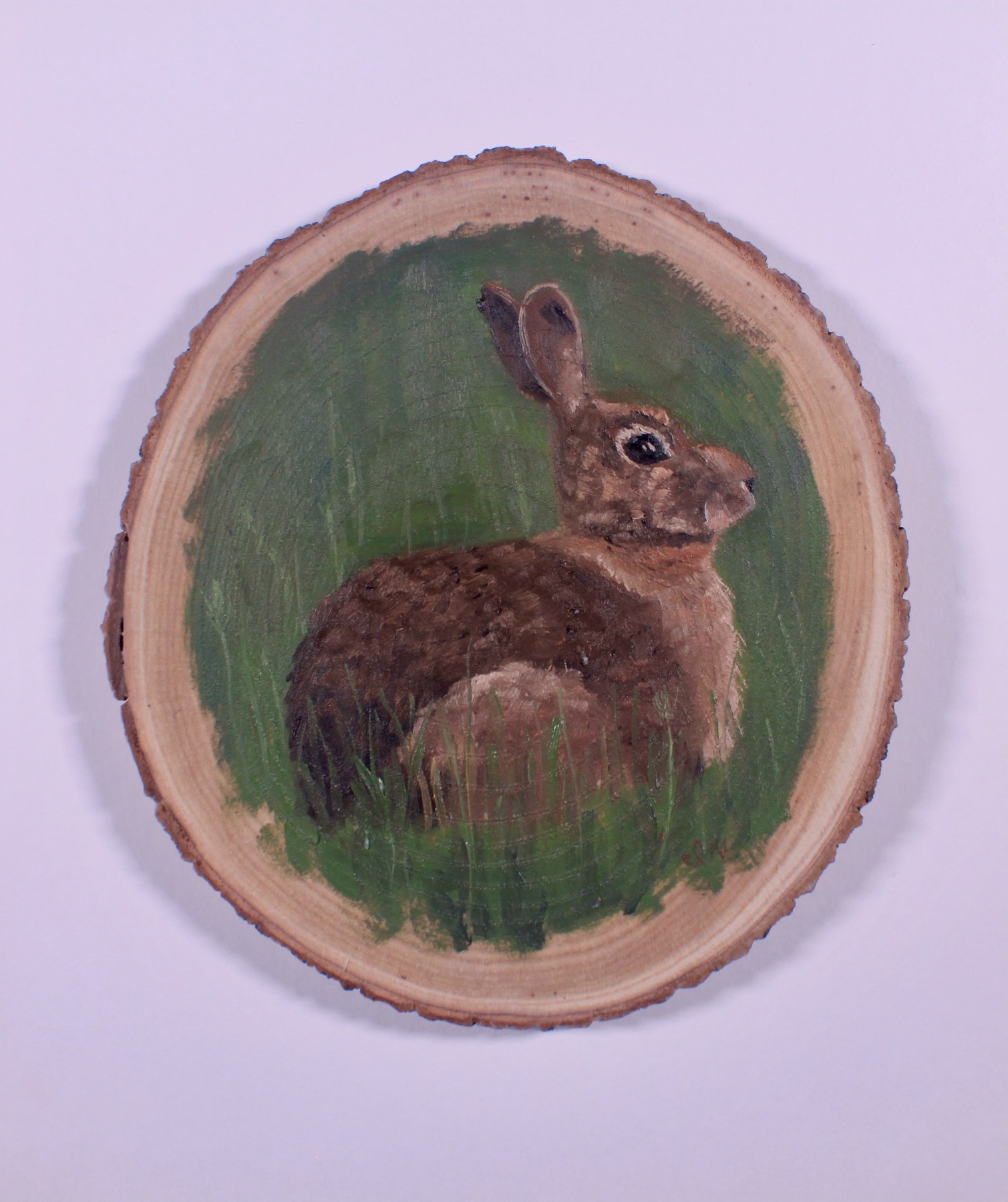 Rabbit