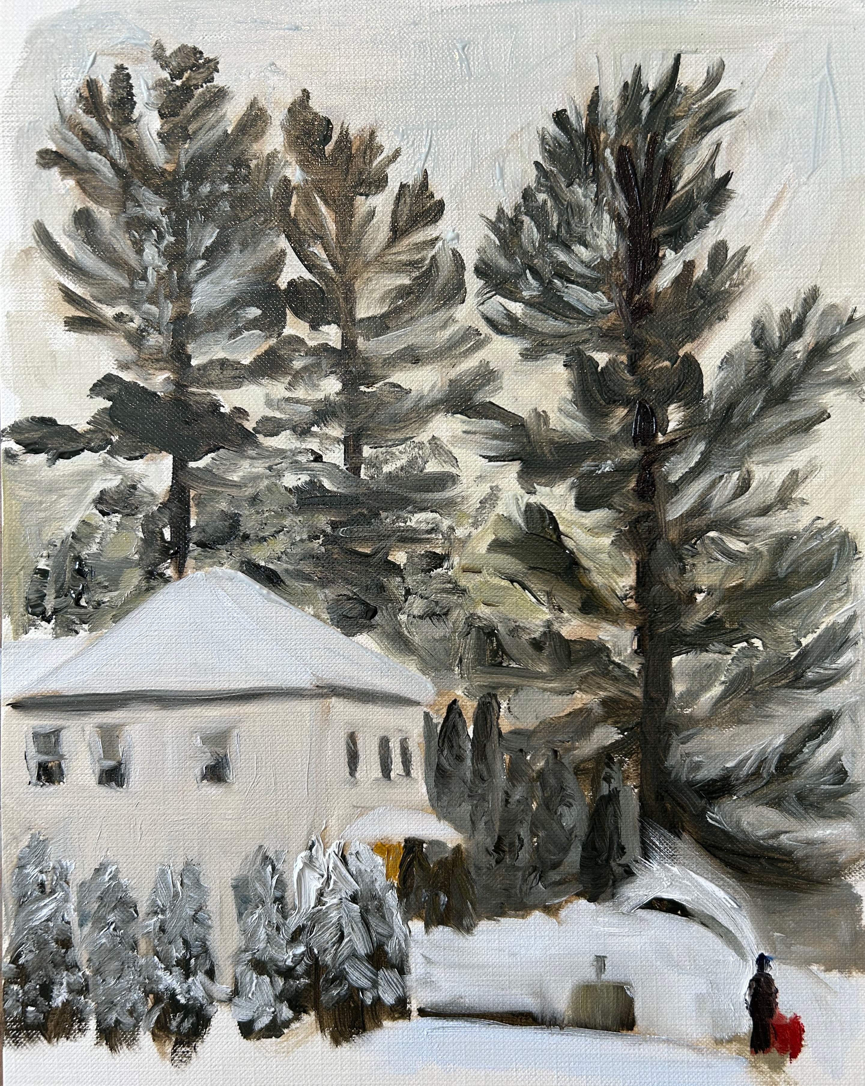 Snow Day