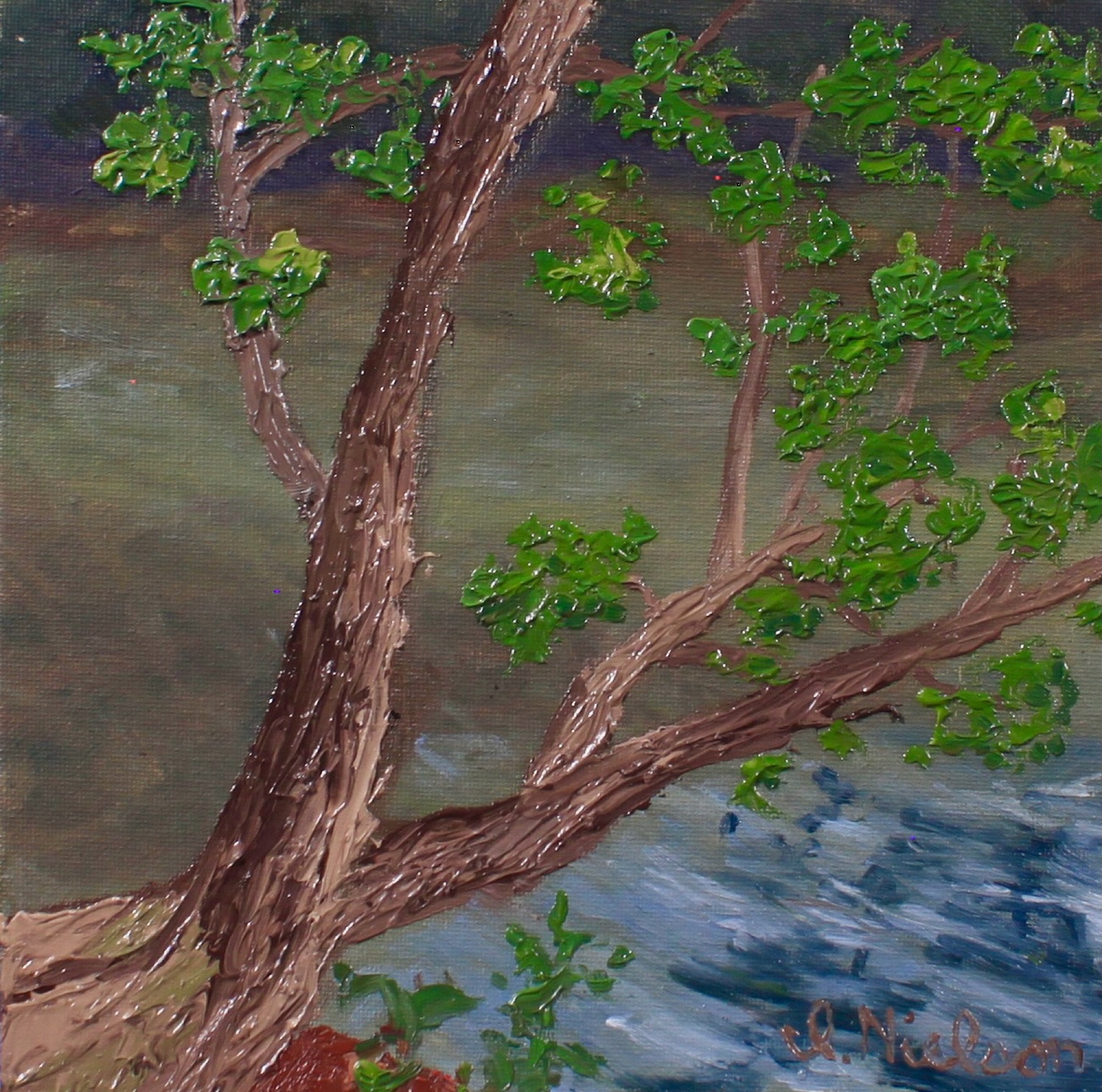 Tree Over Mill Pond